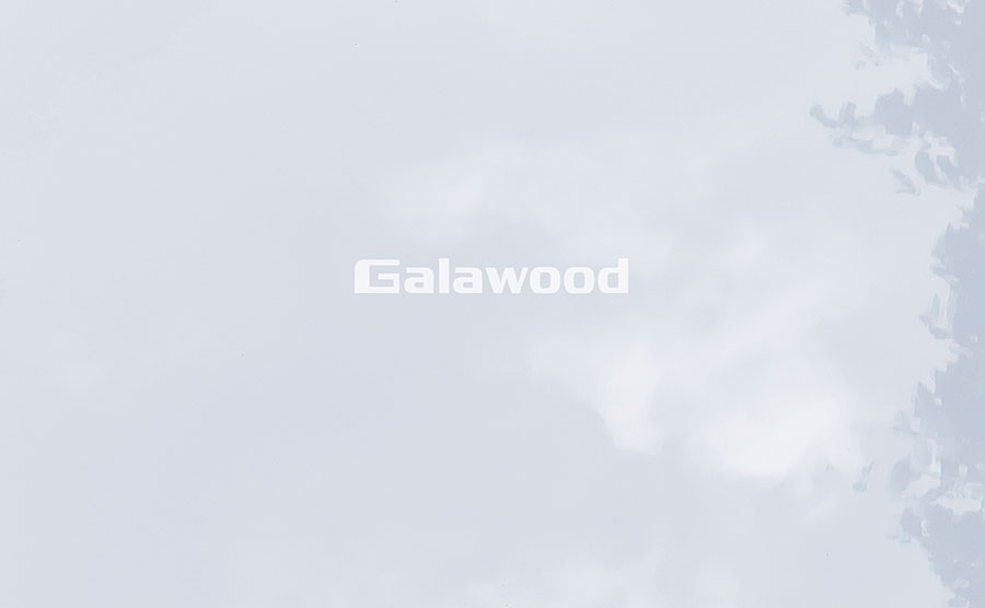 Vân đá PET trắng G-885